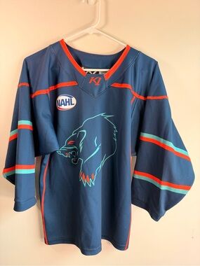 Kids Anchorage Wolverines Hockey Jersey with Bear Graphic